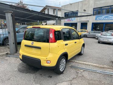 FIAT Panda 3ª serie Panda 1.0 FireFly S&S Hybr...
