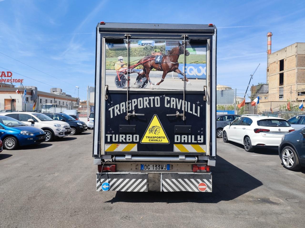 Iveco Trasporto cavalli 35c14