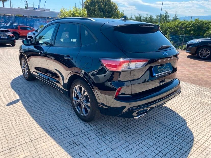 Ford Kuga 1.5 EcoBlue 120 CV aut. 2WD ST-Line X