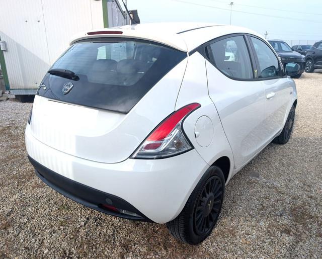 LANCIA Ypsilon 1.2 69 CV 5 porte GPL Ecochic Elefantino