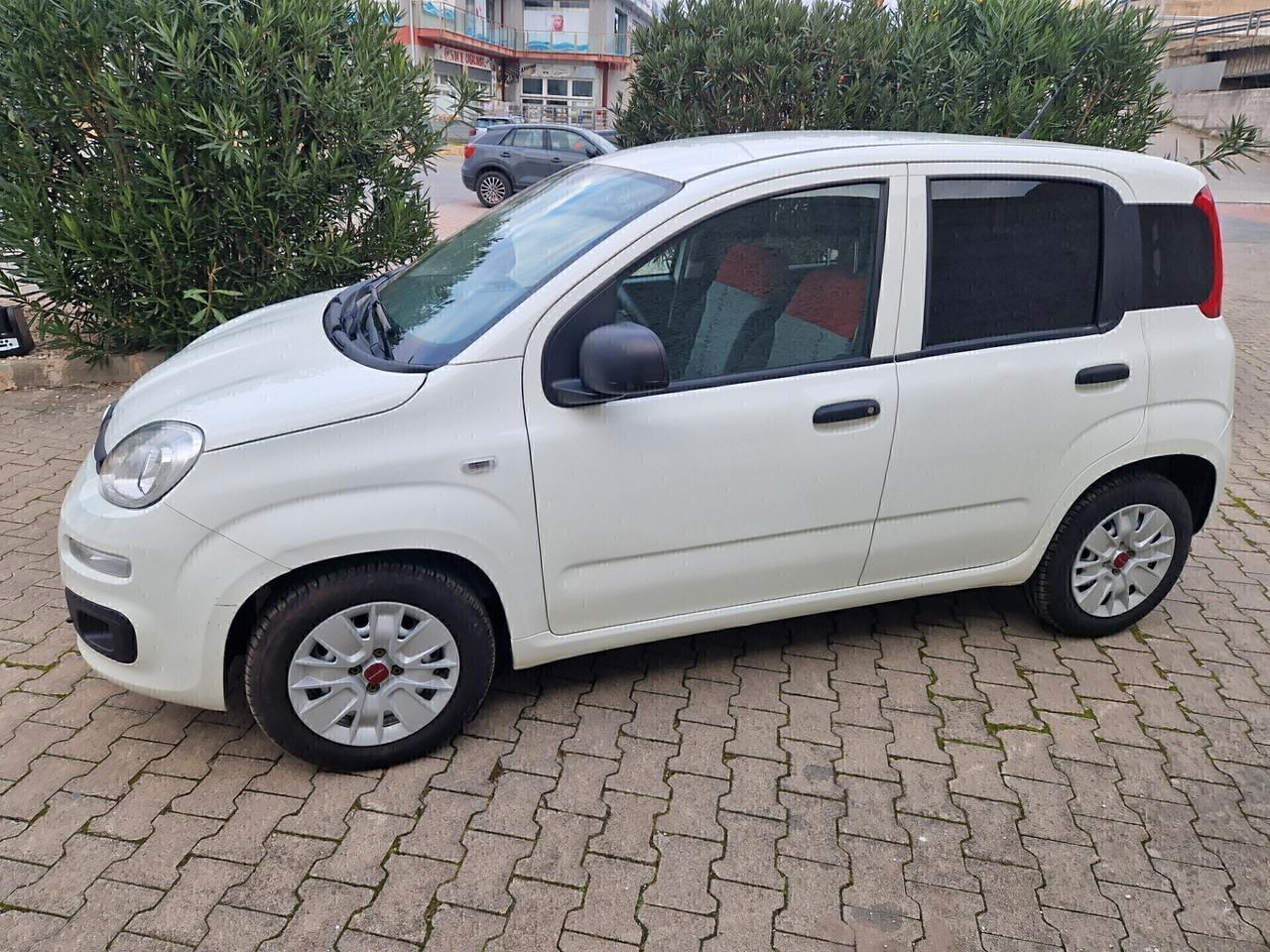 Fiat Panda 1.2 69cv Neopatentati 5 POSTI