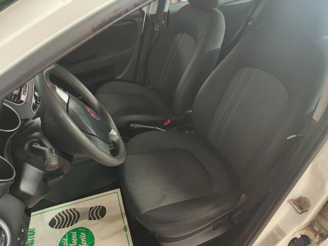 FIAT Punto 1.2 Benz. 5 Porte ( GARANZIA )