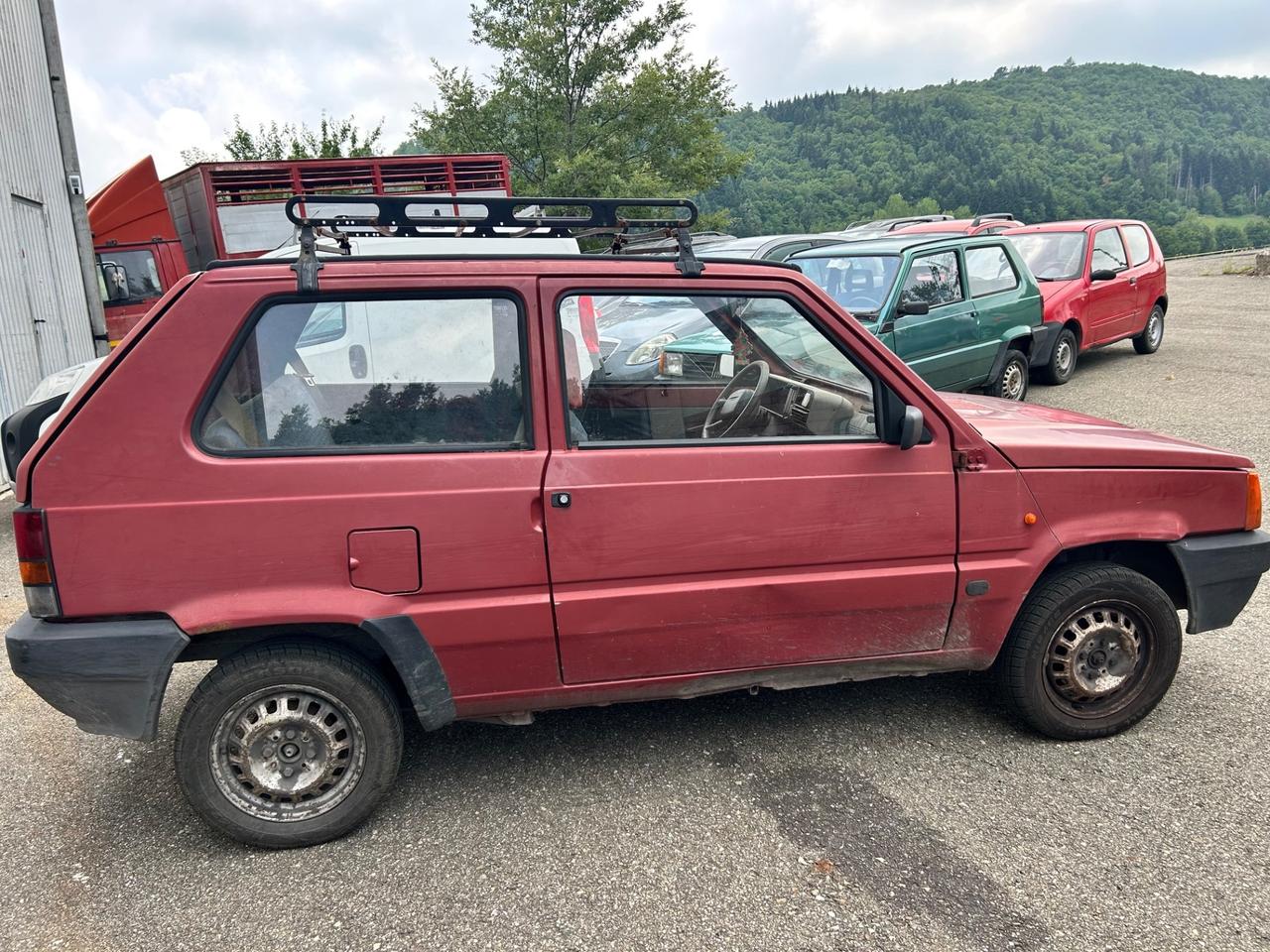 Fiat Panda 1100 per operatori del settore
