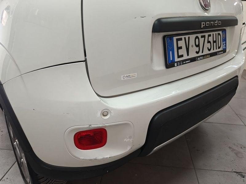 FIAT Panda 1.3 Multijet 16v 75cv S&S 4x4 Antartica