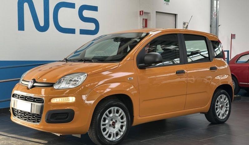Fiat Panda 1.0 FireFly S&S Hybrid Easy - FOTO PROVVISORIE