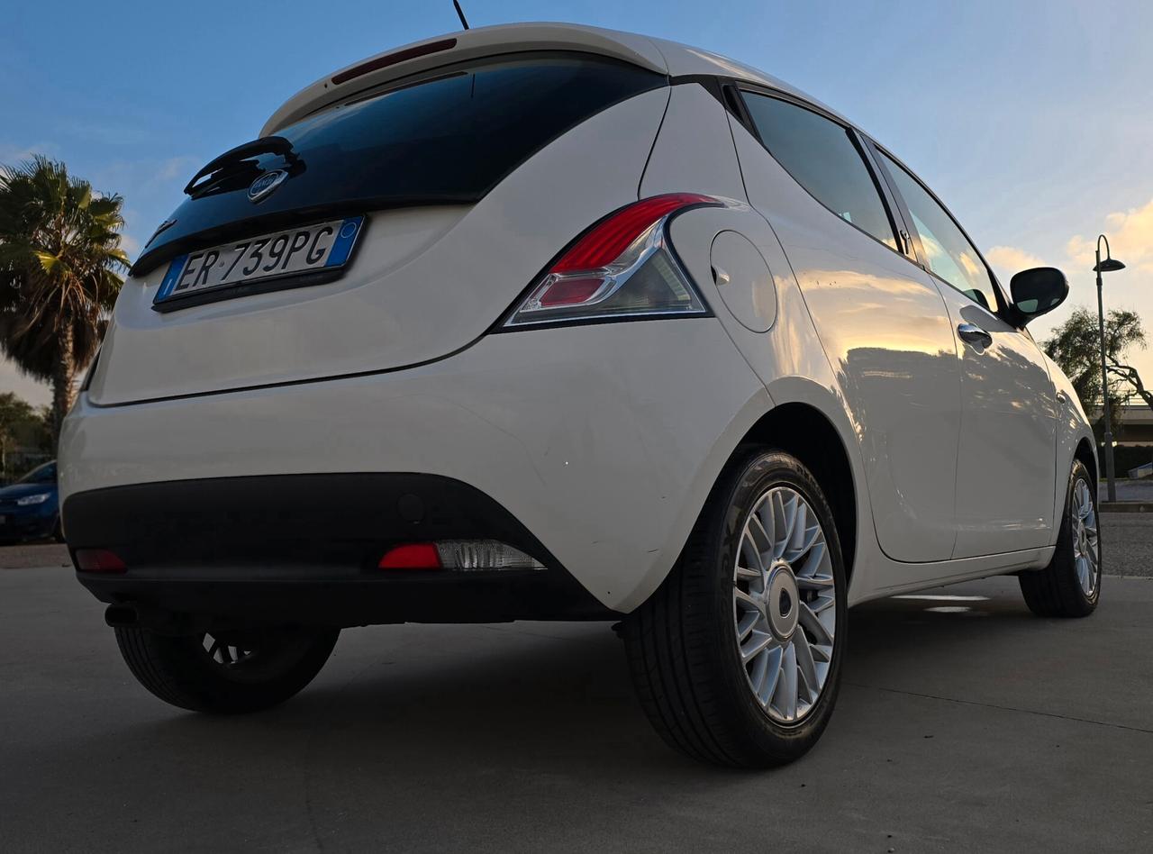 Lancia Ypsilon 1.3 MJT 16V 95 CV 5 porte S&S Platinum