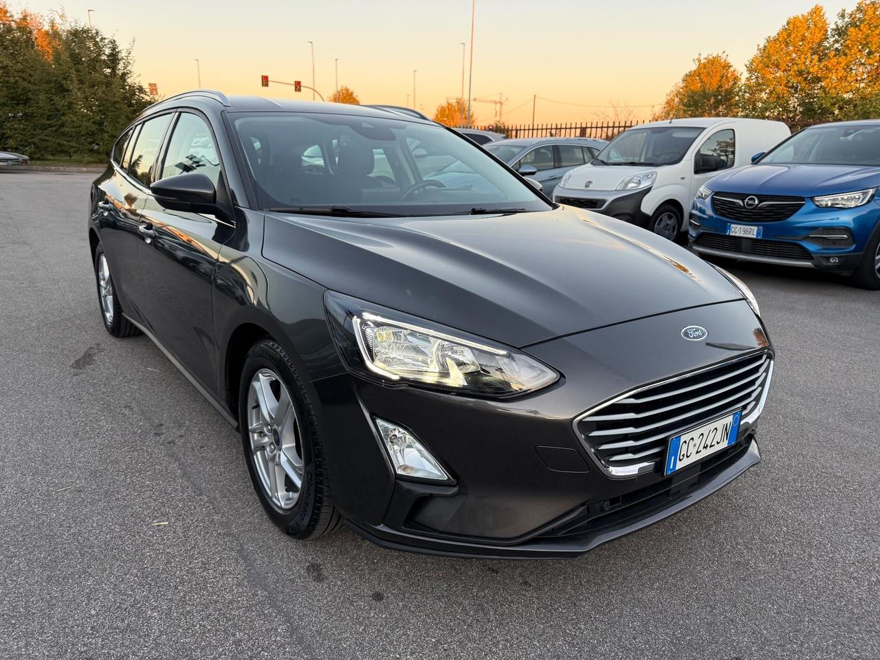 Ford Focus 1.5 EcoBlue 120 CV automatico SW Business Co-Pilot