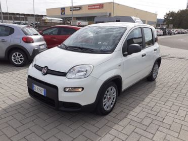 Fiat Panda 1.0 FireFly *PREZZO REALE, SENZA OBBLIGHI*