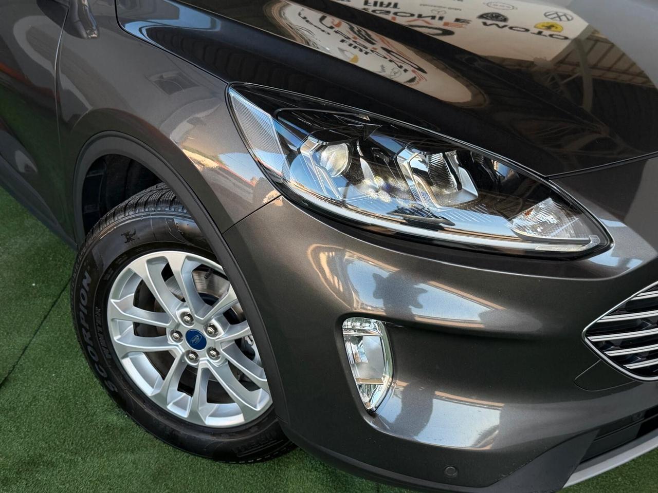 Ford Kuga 1.5 EcoBlue 120 CV aut. 2WD Titanium Business