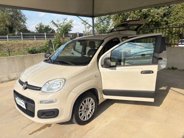 FIAT Panda 1.2 Lounge 5 POSTI EURO 6 OK NEOPATENTATI