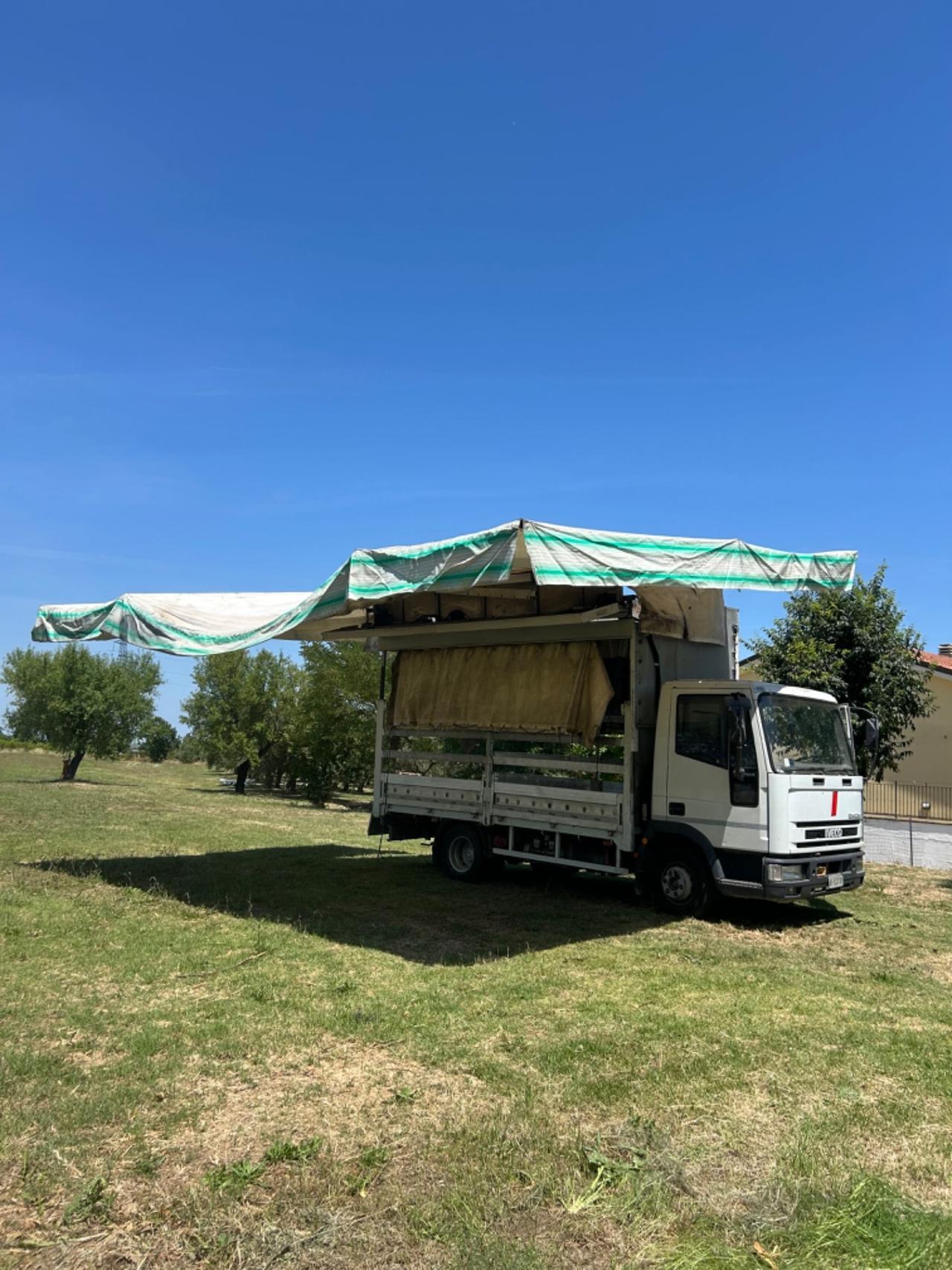 Iveco