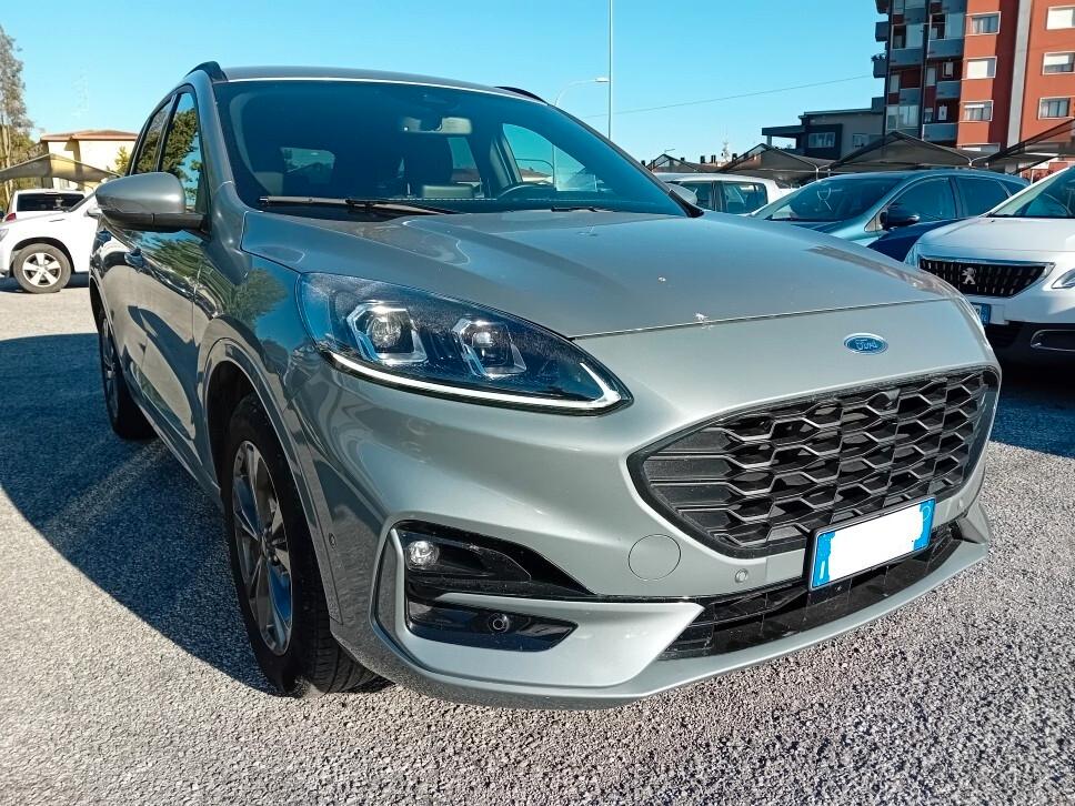 Ford Kuga 2.0 EcoBlue 150 CV aut. AWD ST-Line