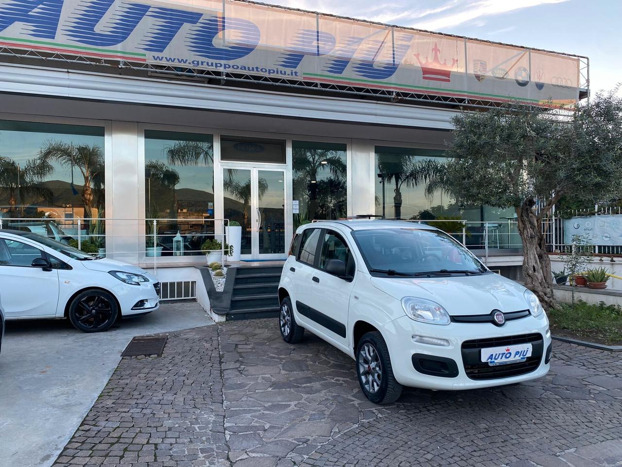 Fiat Panda 1.3 MJT 4x4 adatta a neo patentati