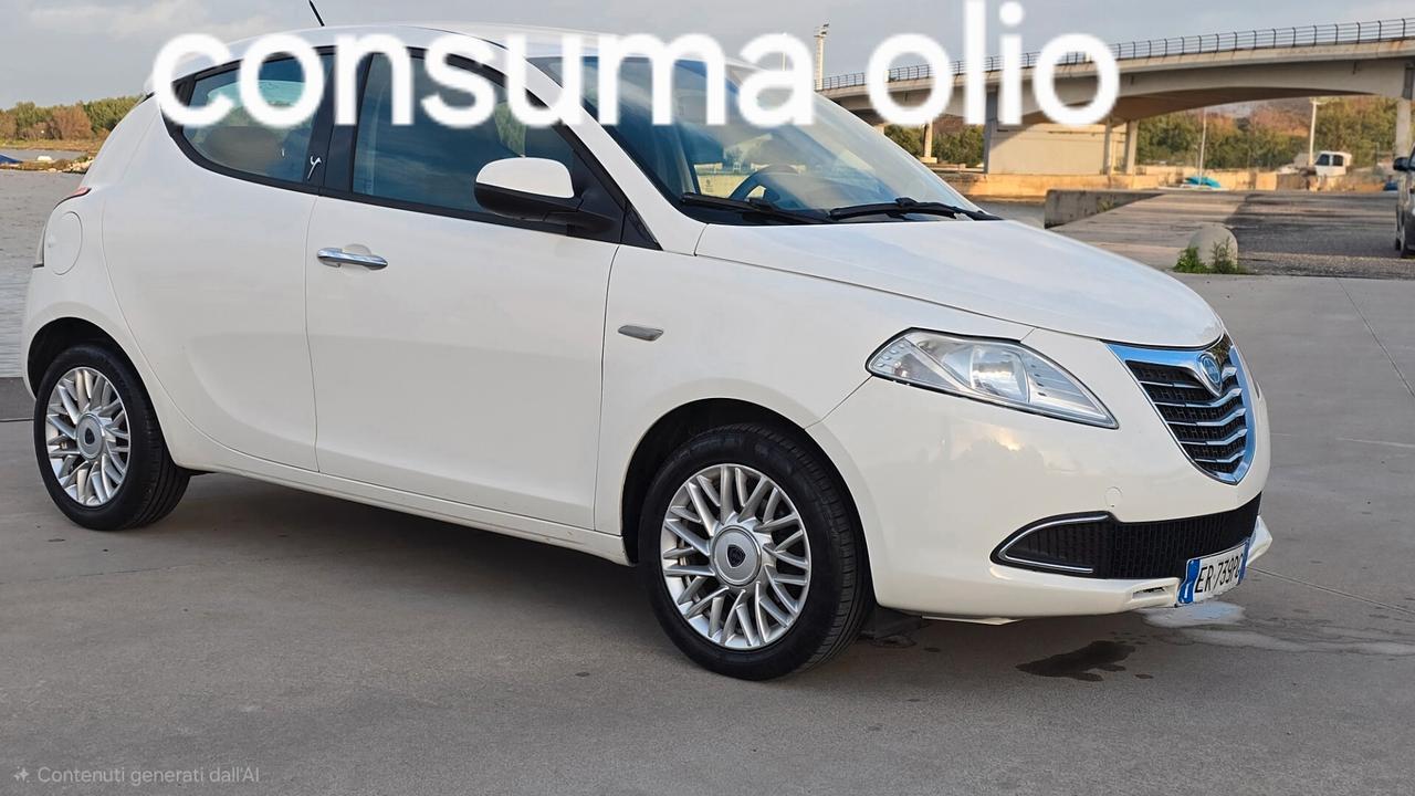 Lancia Ypsilon 1.3 MJT 16V 95 CV 5 porte S&S Platinum