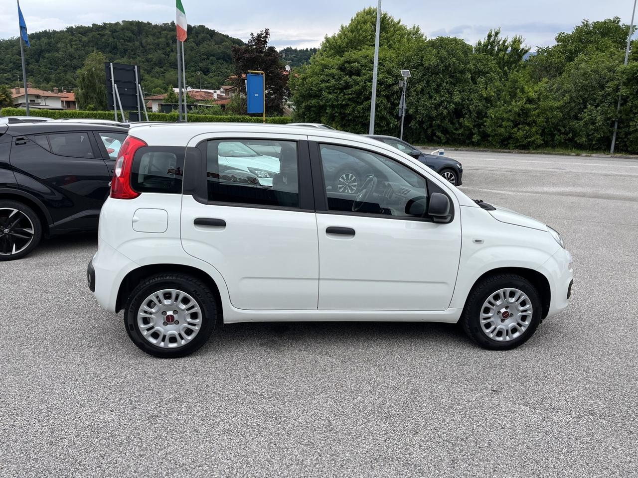 FIAT PANDA 1200 CC 69 CV EASY