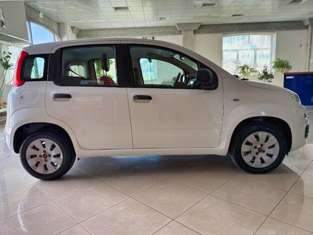 FIAT Panda Easy - 1.2 Benz. 69 cv EURO6D
