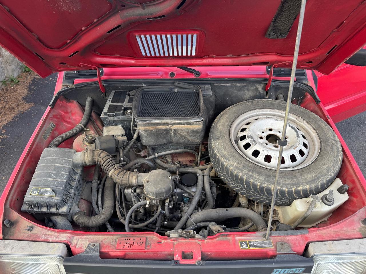 Fiat Panda 900 i.e. cat Young