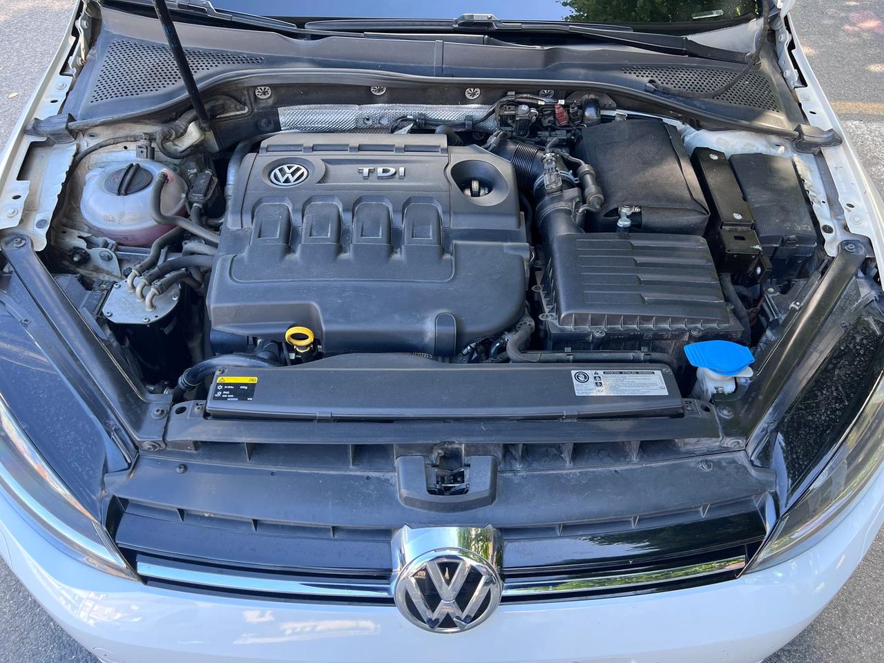 Volkswagen Golf VW Golf 1.6 TDI BlueMotion #10851