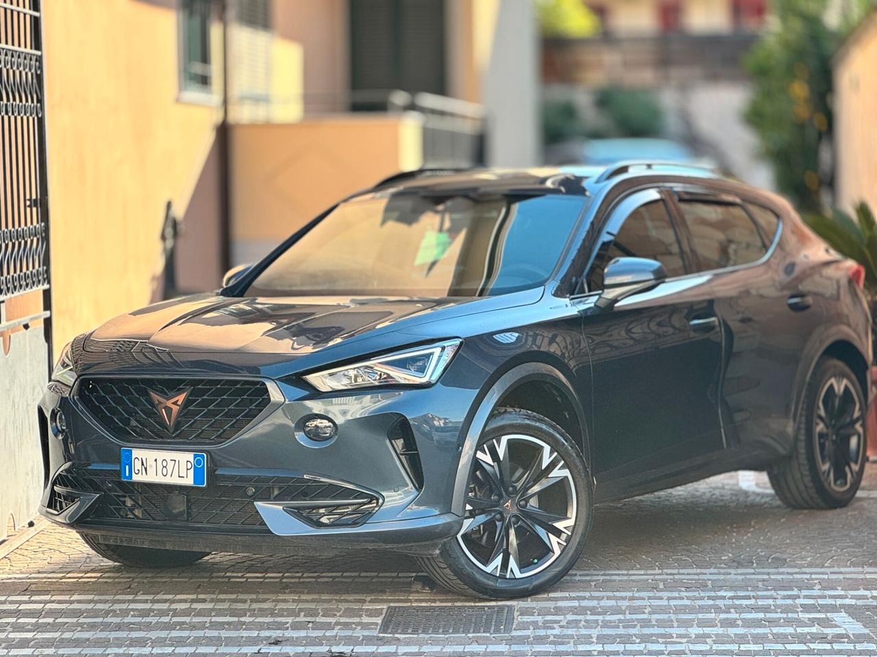 Cupra Formentor 2.0 TDI 4Drive DSG IVA DEDUCIBILE