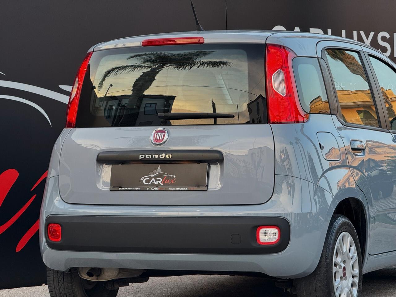 Fiat Panda 1.2 Easy S 69CV | IVA ESPOSTA