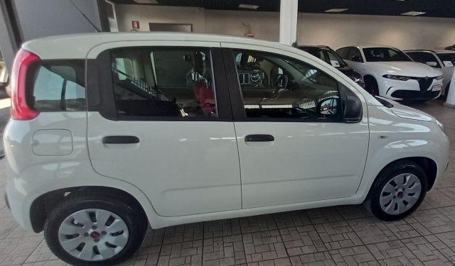 FIAT Panda 1.2 POP
