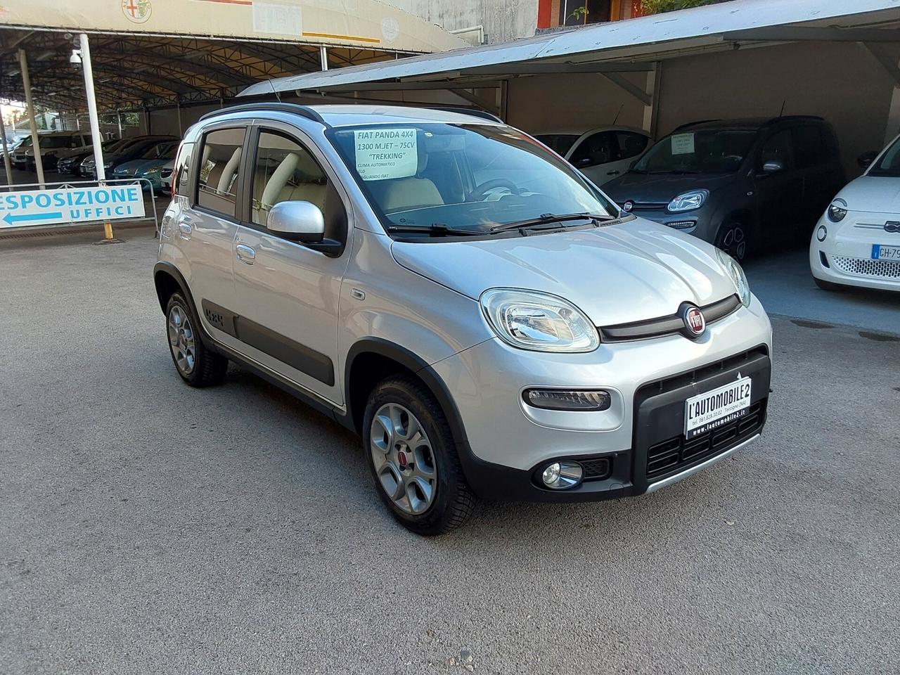 Fiat Panda 1.3 MJT 75 Cv 4x4 Trekking con ELD