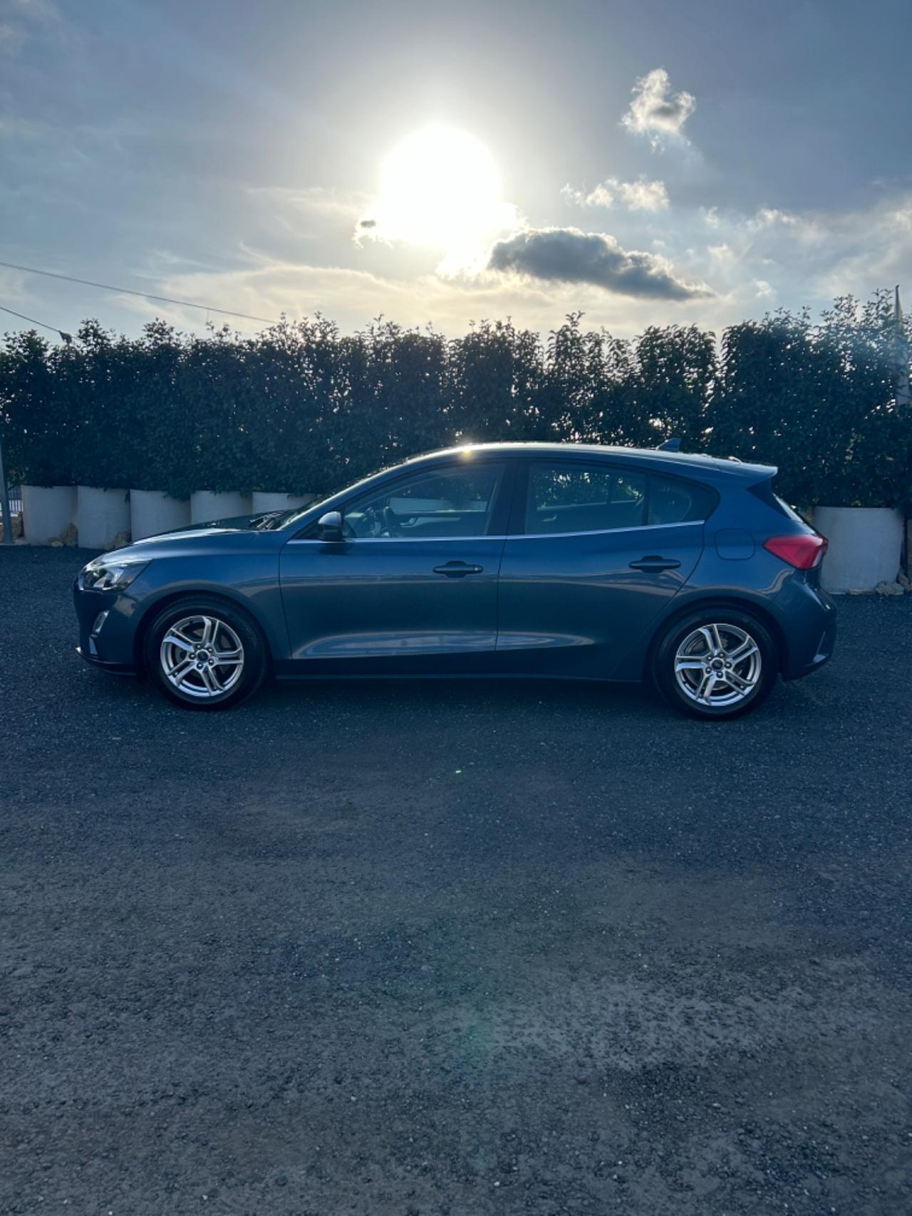 Ford Focus 1.5 EcoBlue 120 CV 5p. Business