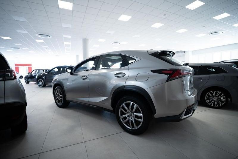 Lexus NX 300h 2.5 Premium 4WD CVT