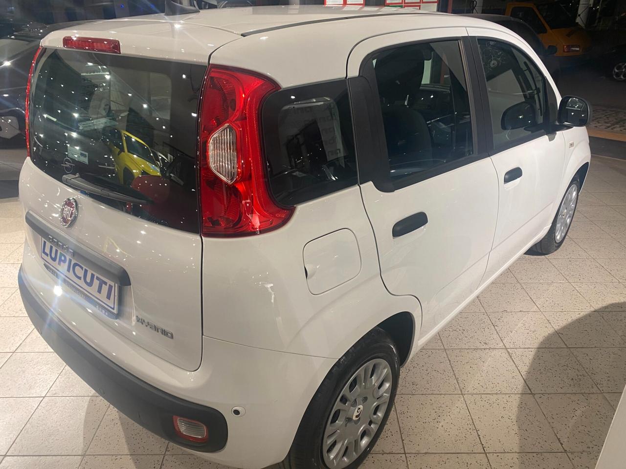 Fiat Panda 1.0 FireFly S&S Hybrid Icon