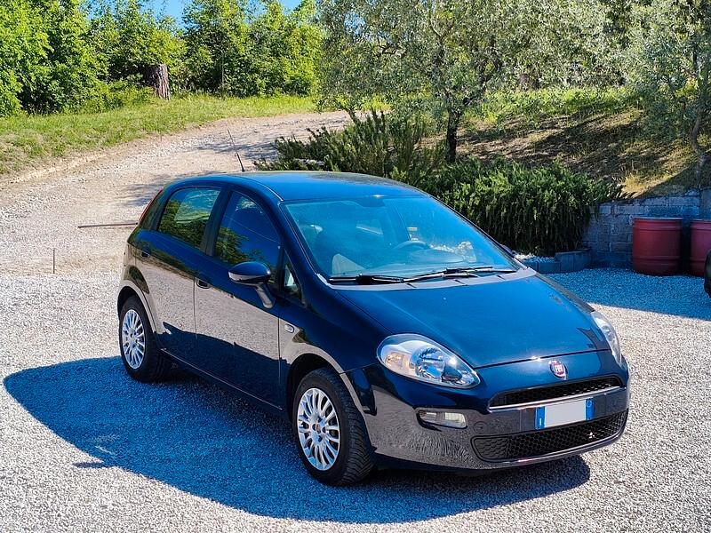Fiat Punto 1.2 8V 5 porte Street