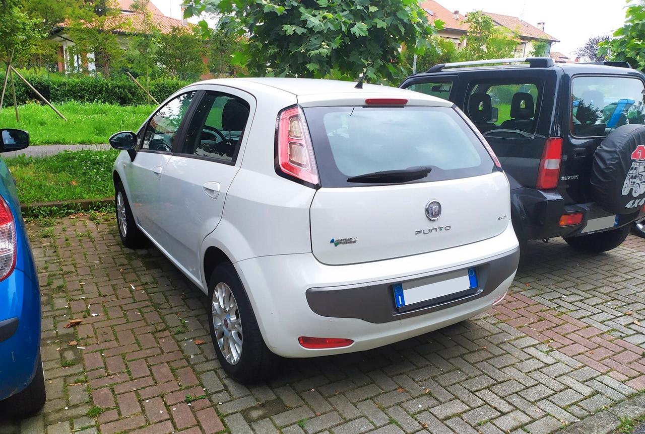 Fiat Punto Evo Punto Evo 1.4 5 porte Dynamic Natural Power