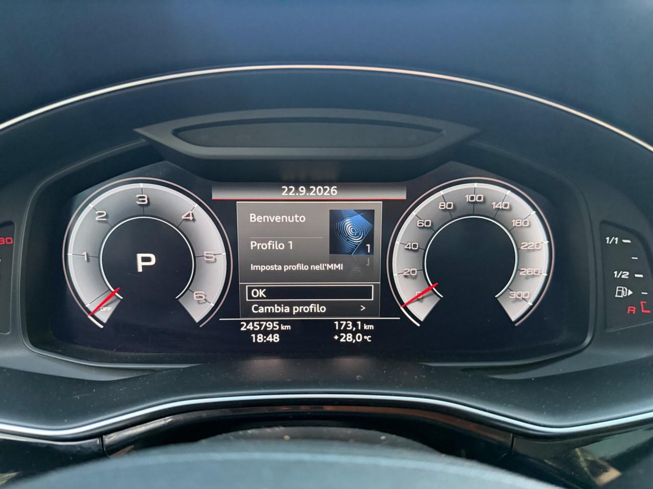 Audi Q8 50 TDI 286 CV quattro tiptronic Sport