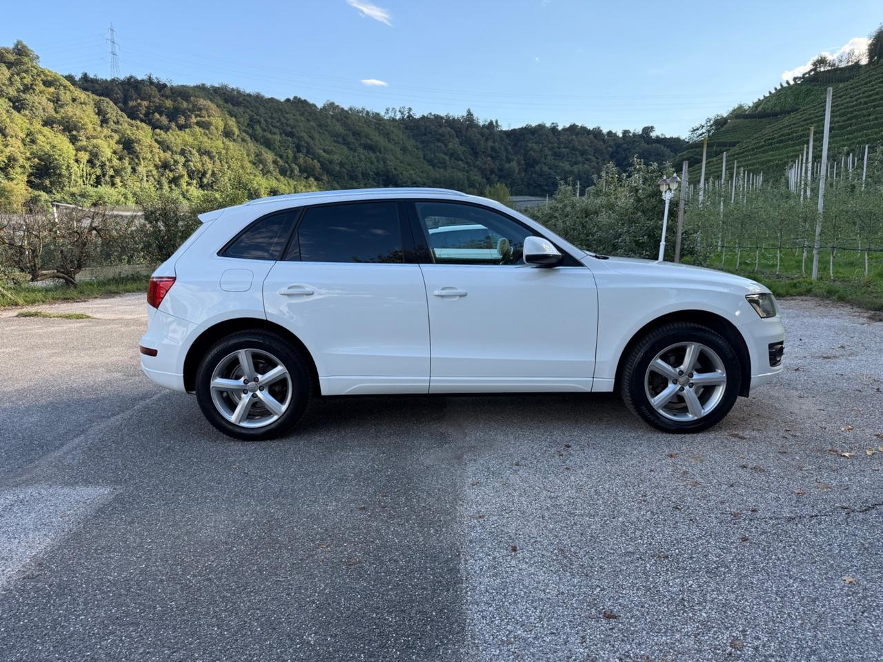 Audi Q5 2.0 TDI 170 CV quattro S tronic Advanced Plus