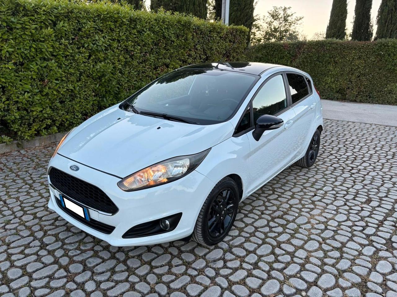 FORD Fiesta 1.5TDCi 75CV 5 porte ST-Line - 2017