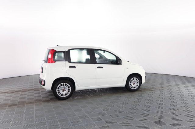 FIAT Panda Panda 1.0 FireFly 70cv S&S Hybrid E6d-Final EASY