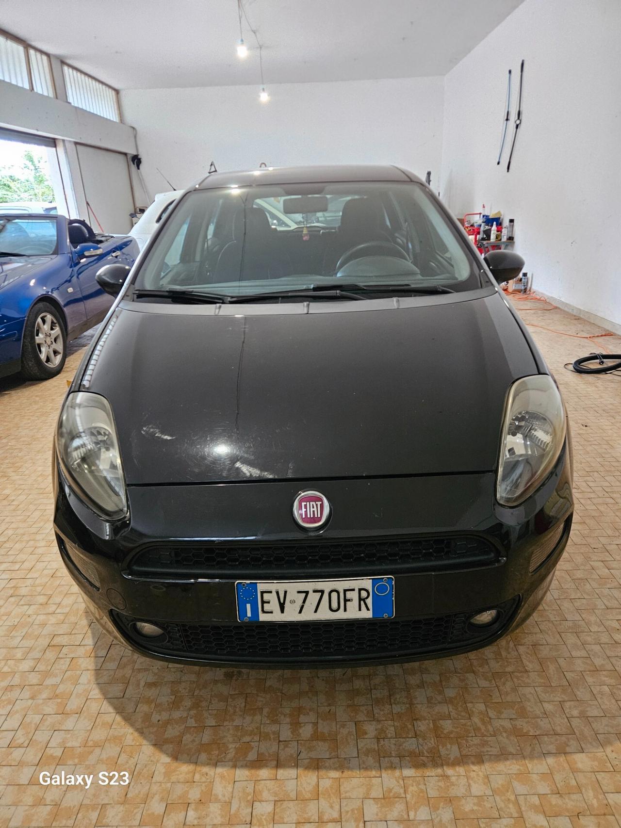 Fiat Punto 1.2 8V 5 porte Lounge