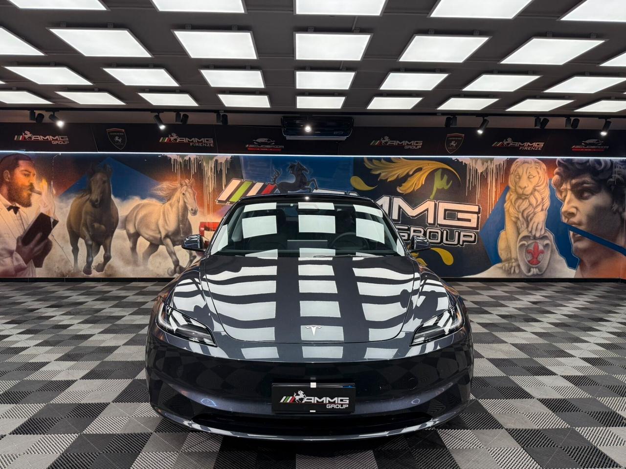 Tesla Model 3 NV35 Long Range AWD (418)