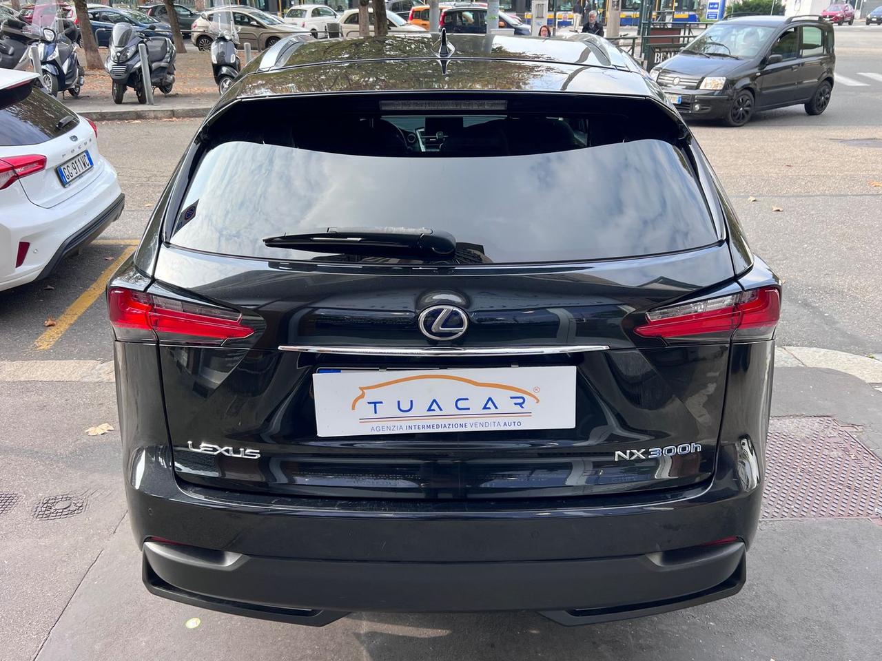 Lexus NX 300h Luxury NX 300h HEV #7331