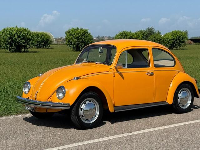 Volkswagen Maggiolino VETRO PIATTO 1.300