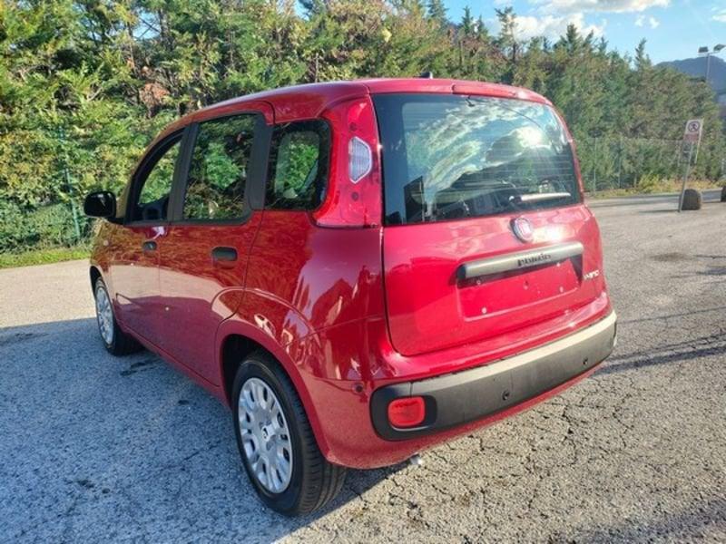 FIAT Panda Panda 1.0 FireFly S&S Hybrid Icon, 5 posti e stereo Bluetooth con comandi al volante! GPL!!