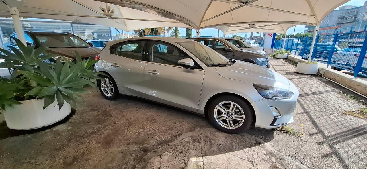 Ford Focus 1.5 EcoBlue 120 CV 5p. Business
