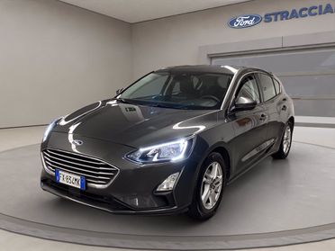 FORD Focus 1.0 ecoboost Business s&s 100cv del 2019