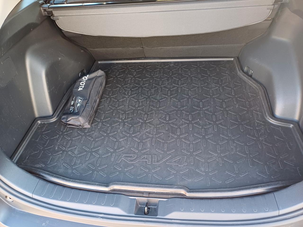 Toyota RAV 4 RAV4 2.5 HV (222CV) E-CVT AWD-i Active