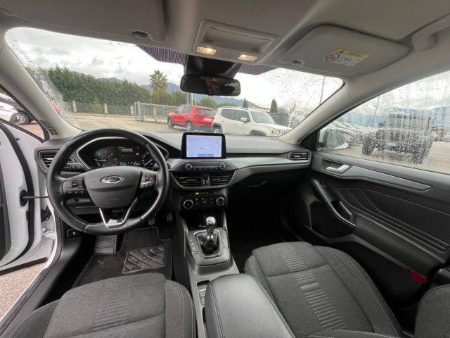 FORD Focus 1.5 EcoBlue 120 CV 5p. Business