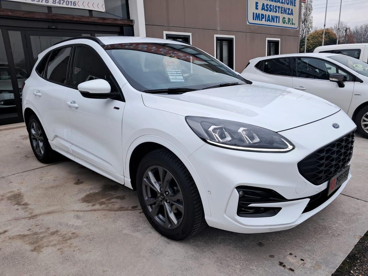 Ford Kuga 2.0 EcoBlue 120 CV aut. AWD 4x4 ST-Line