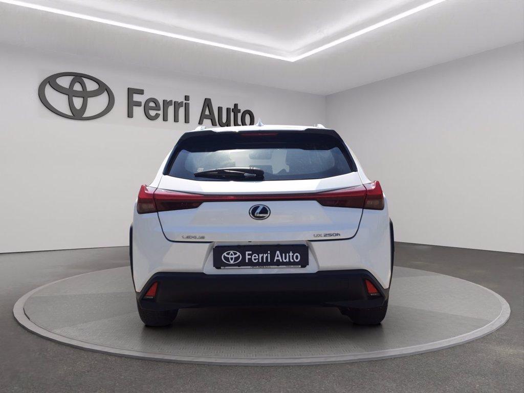 LEXUS Ux 250h 2.0 business 2wd cvt del 2020