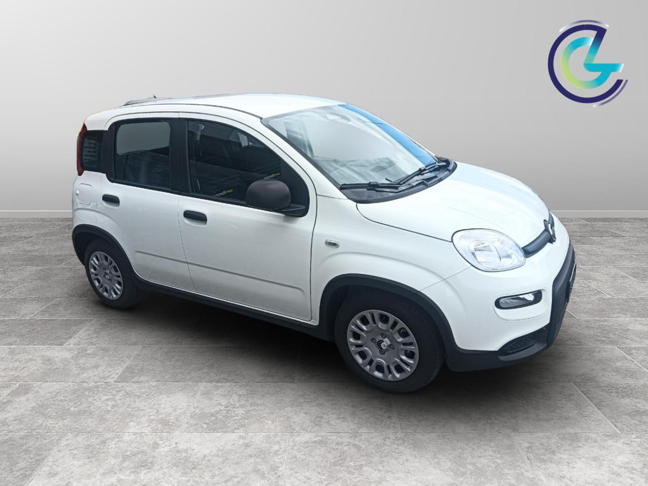 FIAT Panda III 2024 - Panda 1.0 firefly hybrid s&s 70cv