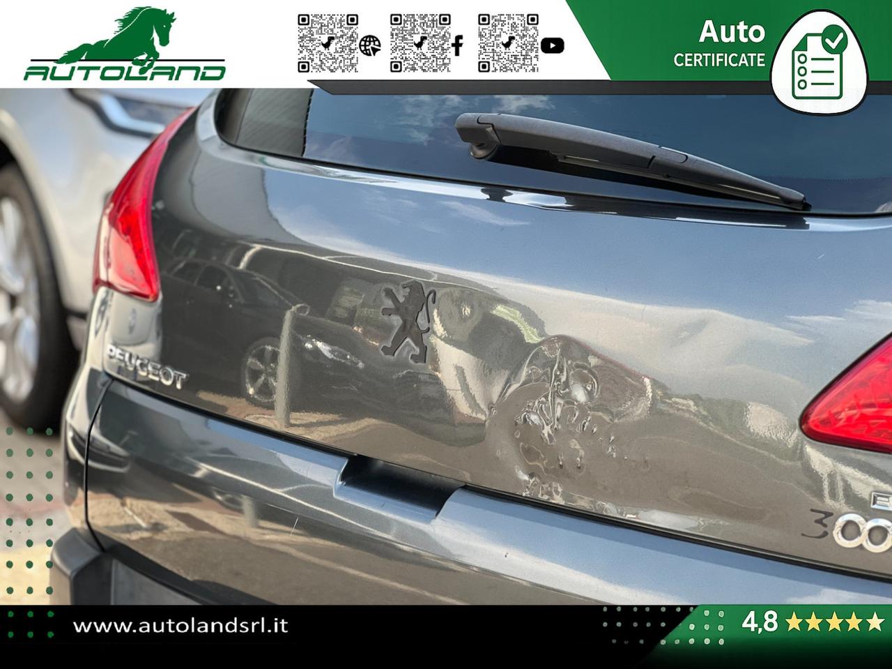 Peugeot 3008 3008 1.6 e-hdi 8v Business s&s 112cv robot
