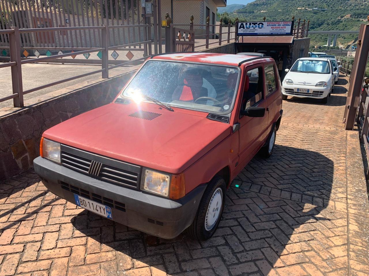 Fiat Panda 900 i.e. cat Young