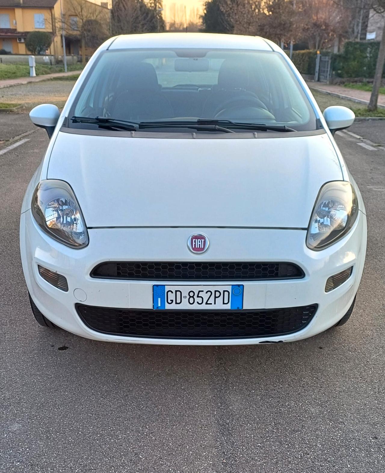 Fiat Punto Evo Punto Evo 1.4 5 porte Dynamic Natural Power